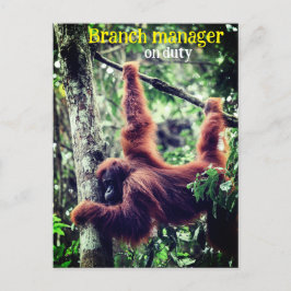 Orangutan hänger i träd vykort