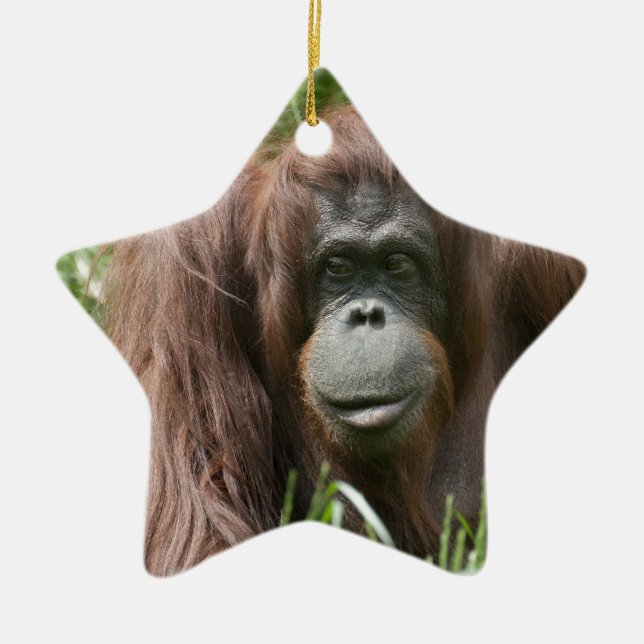 Orangutan Julgransprydnad Keramik (Framsidan)