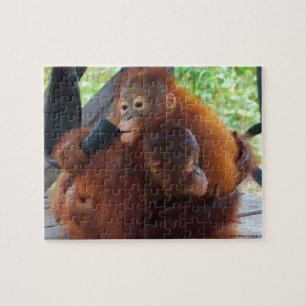 Orangutan Jungle Hugs Pussel