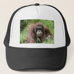 Orangutan Keps