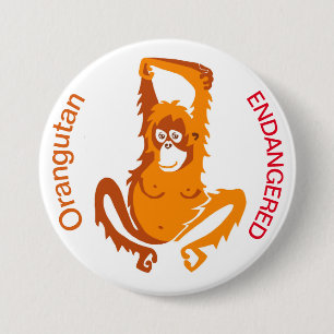 Orangutan - knapp