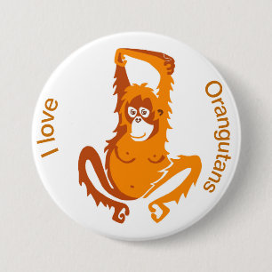 Orangutan - knapp
