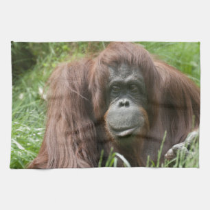 Orangutan Kökshandduk