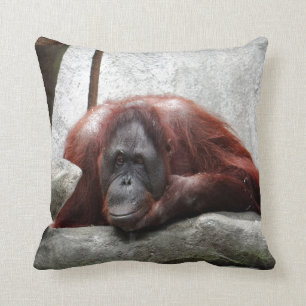 Orangutan Kudde