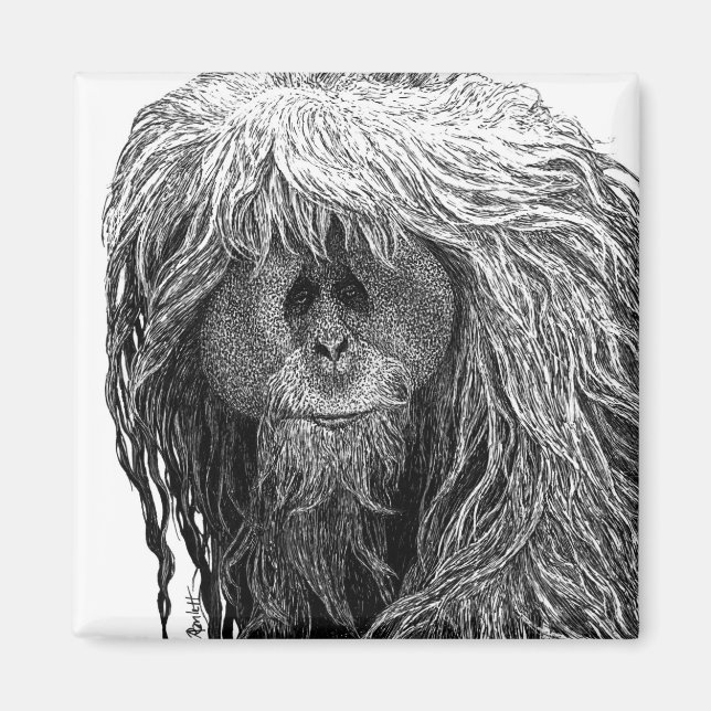 Orangutan Magnet (Framsidan)