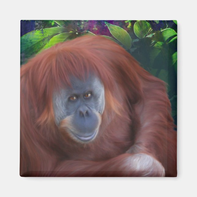 Orangutan Magnet (Framsidan)