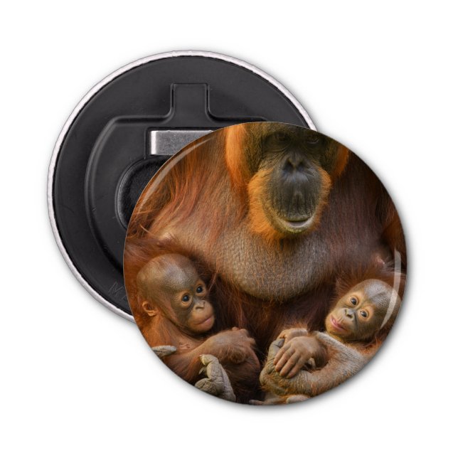 Orangutan Mor Holding Two Spädbarn Flasköppnare (Framsidan)