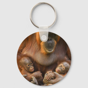Orangutan Mor Holding Two Spädbarn Nyckelring