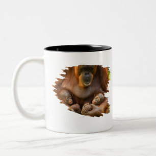 Orangutan Mor Holding Two Spädbarn Två-Tonad Mugg
