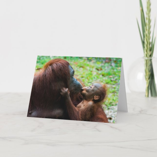 Orangutan Mor med Baby Kort (Framsida)