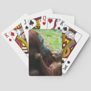 Orangutan mor och baby casinokort