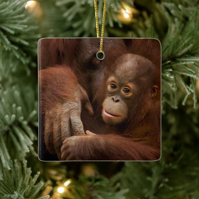 Orangutan Mor och Baby vid Zoo Julgransprydnad Keramik (Träd)
