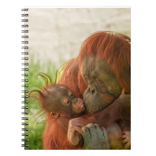 Orangutan Mor Tender Moments Anteckningsbok (Framsidan)