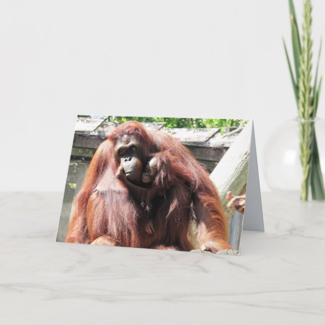 Orangutan Mors dag-kort Kort (Framsida)