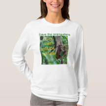 Orangutan Natur Borneo