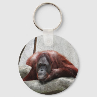 Orangutan Nyckelring