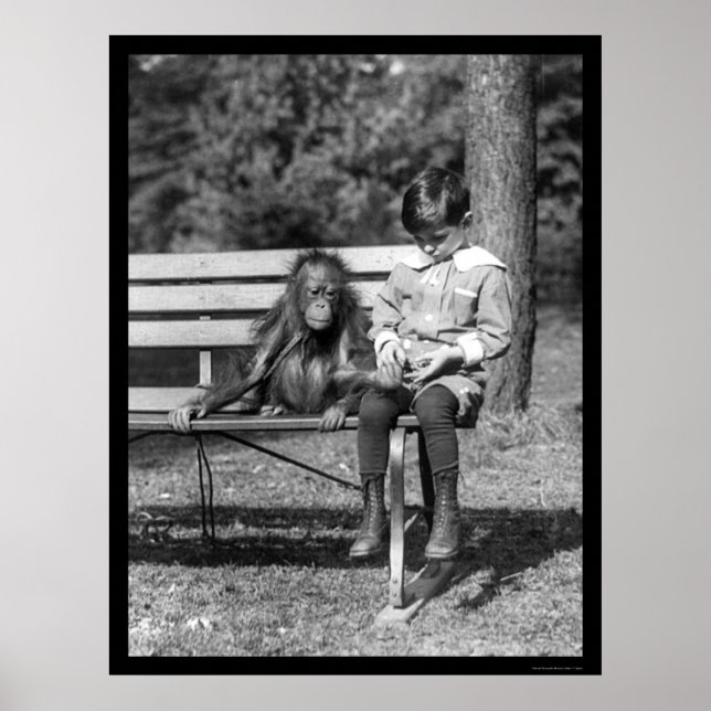 Orangutan och Boy i Park 1920 Poster (Framsidan)
