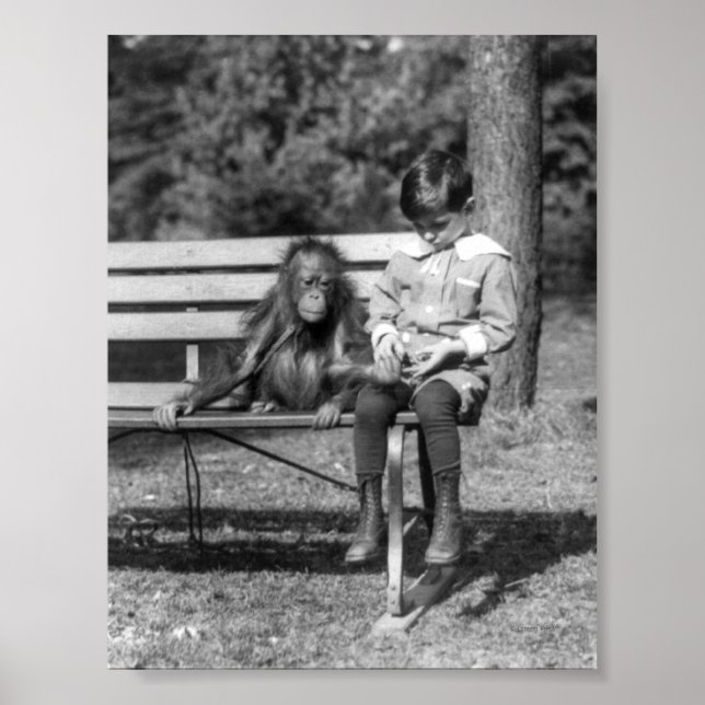 Orangutan och Boy - National Zoo Poster (Framsidan)