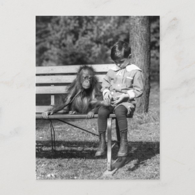Orangutan och Boy - National Zoo Vykort (Framsida)