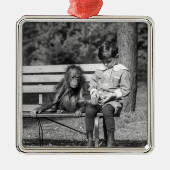 Orangutan och pojke - medborgareZoo Julgransprydnad Metall (Framsidan)