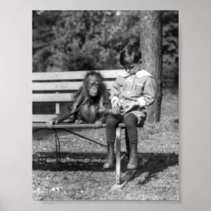 Orangutan och pojke - medborgareZoo Poster