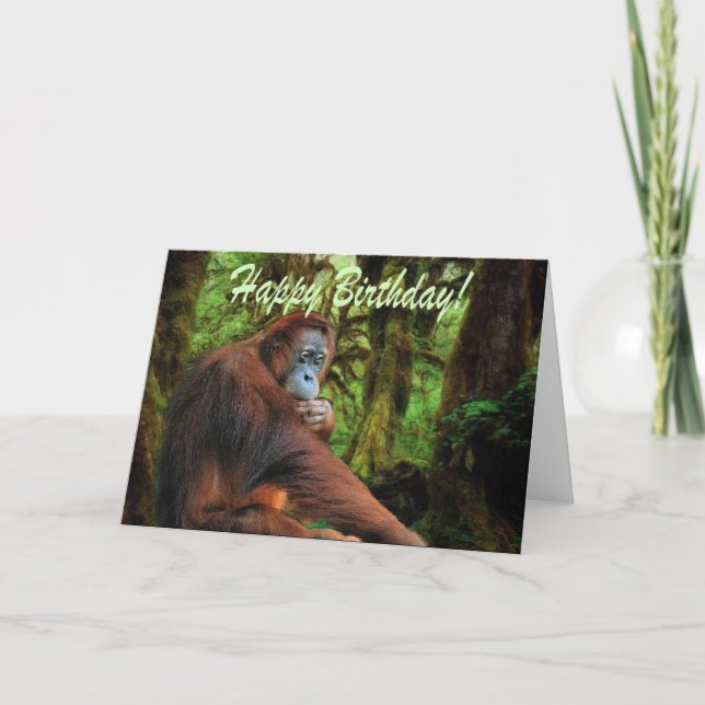 Orangutan och Rainforest Birthday Card Kort (Framsida)