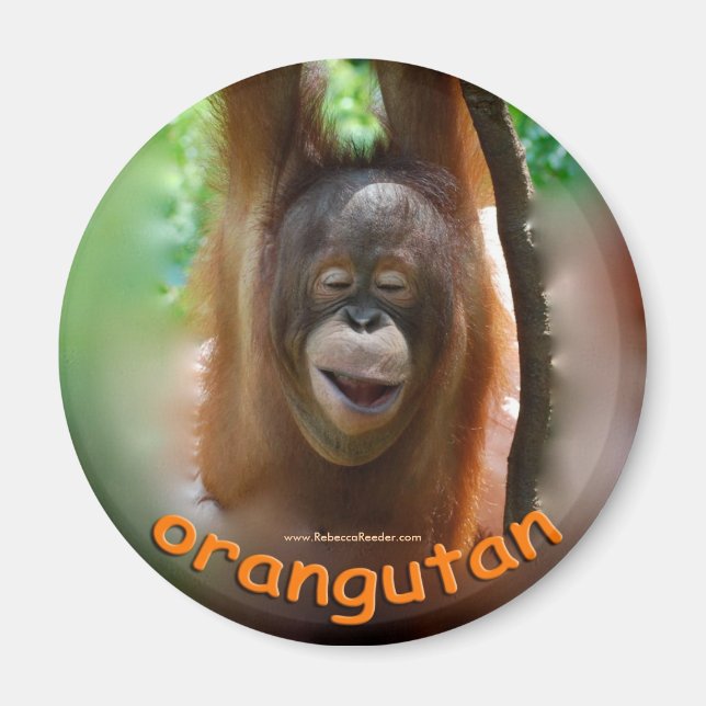 Orangutan Officiell Fläkt Magnet (Framsidan)