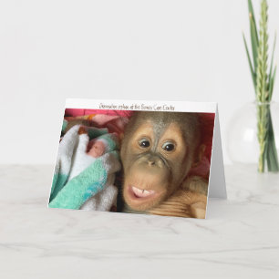 Orangutan Orphan-Räddingen vid Borneo Care Centre Kort