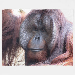 Orangutan på den stora ullfilten fleecefilt