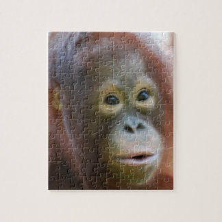 Orangutan på ön av Borneo Pussel