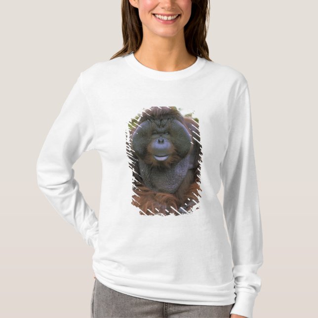 Orangutan Pongo Pygmaeus T-shirt (Framsida)