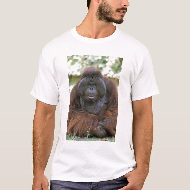 Orangutan Pongo Pygmaeus T-shirt (Framsida)