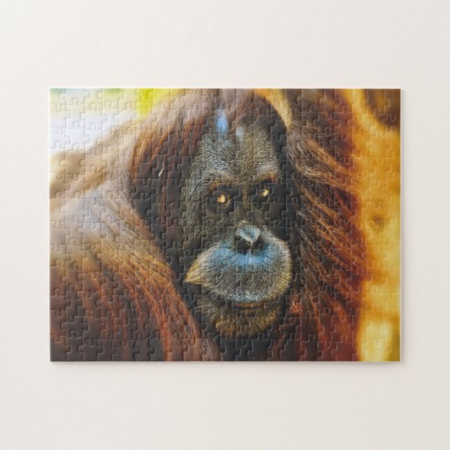 Orangutan Porträtt, Jigszawa Puzzle Pussel (Horisontell)