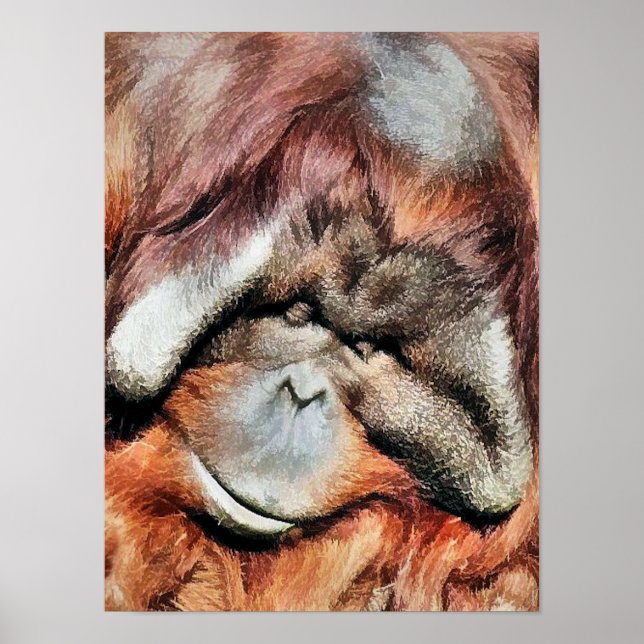 ORANGUTAN POSTER (Framsidan)