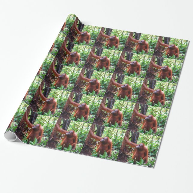 Orangutan Presentpapper (Utrullad)