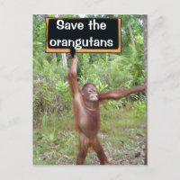 Orangutan Protest-tecken