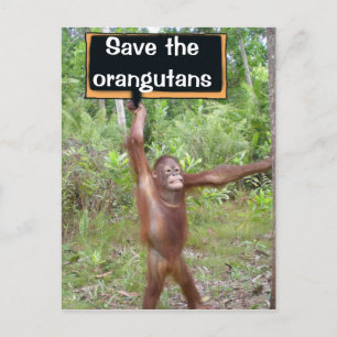 Orangutan Protest-tecken Vykort