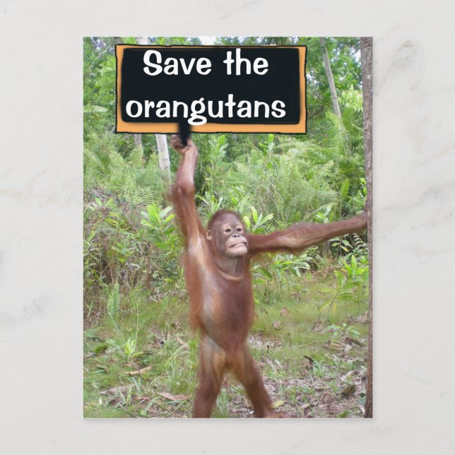 Orangutan Protest-tecken Vykort (Framsida)