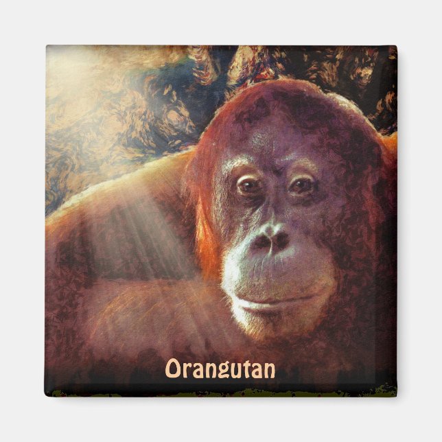 Orangutan Red Apes Wildlife Art Magnet (Framsidan)