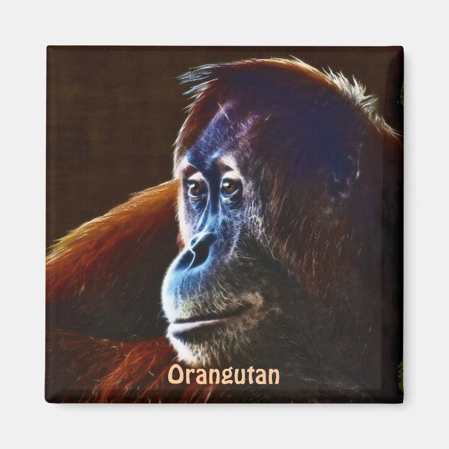 Orangutan Red Apes Wildlife Art Magnet (Framsidan)