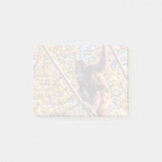 Orangutan Redd på National Zoo Post-it Notes