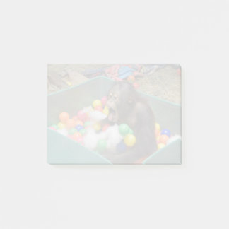 Orangutan Redd på National Zoo Post-it Notes