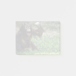 Orangutan Redd vid National Zoo Post-it Block