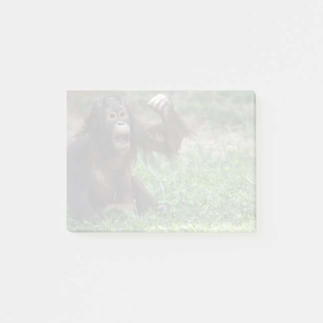 Orangutan Redd vid National Zoo Post-it Block (Framsida)