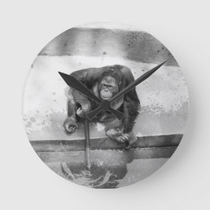 Orangutan Rund Klocka