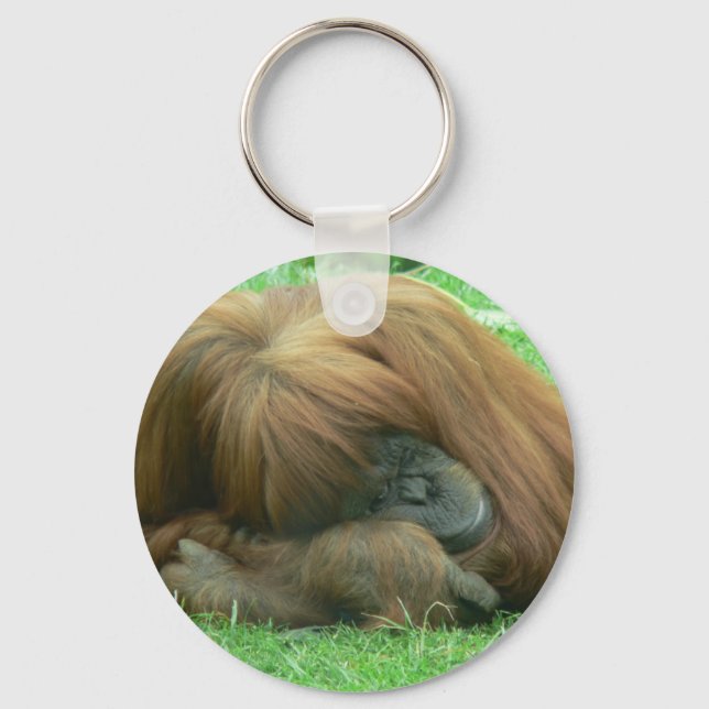 Orangutan Snoozing Keychain Nyckelring (Framsida)