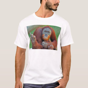 Orangutan som bläddrar fågeln t-shirt