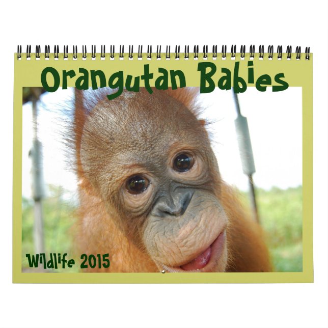 Orangutan Spädbarn Kalender (Omslag)