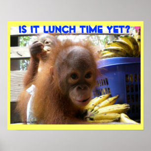 Orangutan Spädbarn Lunch Poster