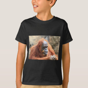 Orangutan T Shirt